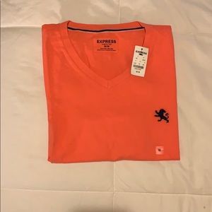 Express v-neck tee